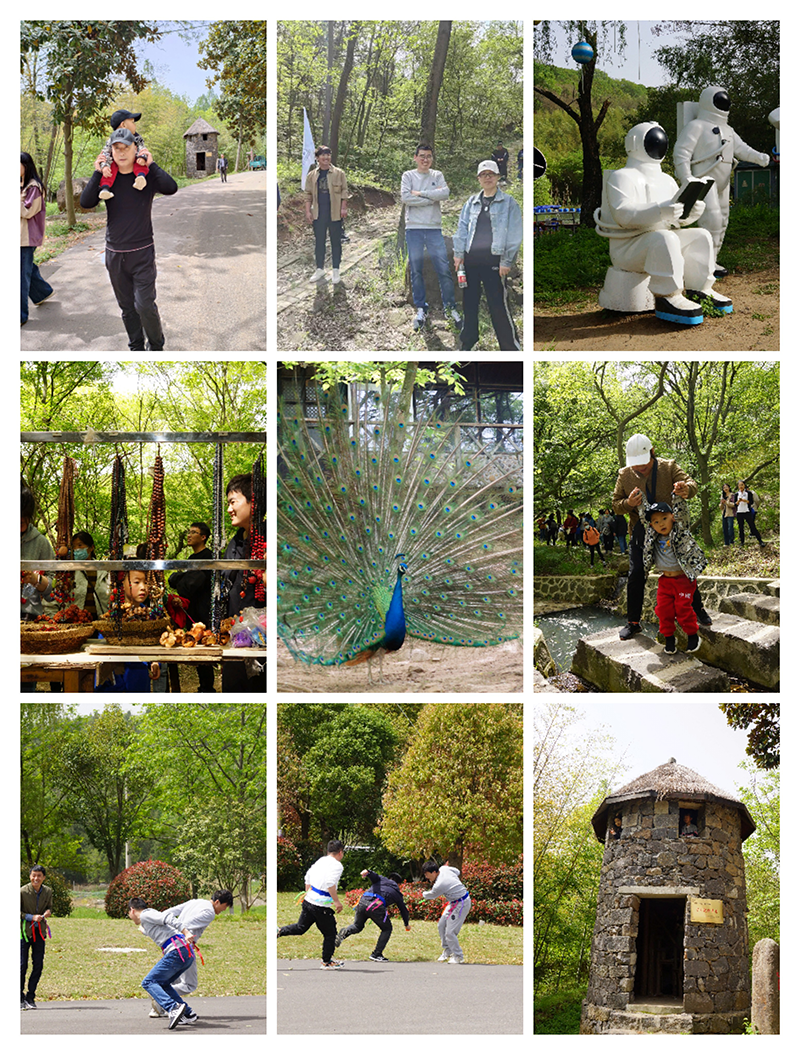 登高望遠(yuǎn)  志(zhì)在九天——江苏九天建设集团开展团建拓展活动